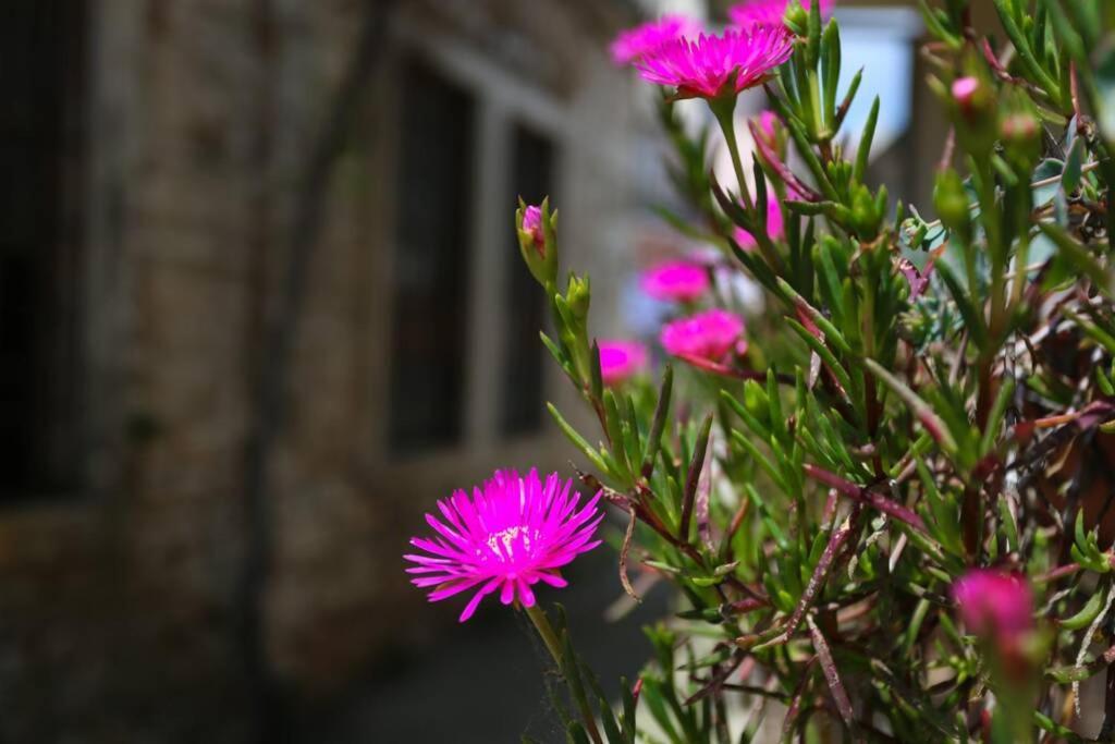 PUY Charming Apartment In Town Center מראה חיצוני תמונה